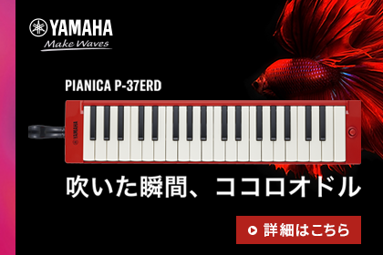 ギター楽譜 蜂蜜と風呂場 クリープハイプ コード