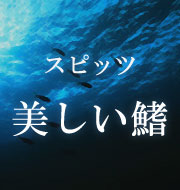 【2023年公開】劇場版『名探偵コナン 黒鉄の魚影(サブマリン)』