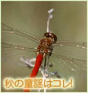 秋の童謡はコレ!