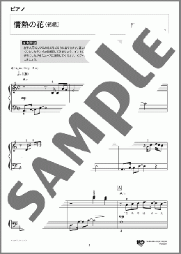 情熱の花(EXILE) 楽譜 ピアノ（ソロ） 初級 ダウンロード 定額サブスク