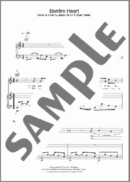 Bonfire Heart(James Blunt) 楽譜 その他 ダウンロード