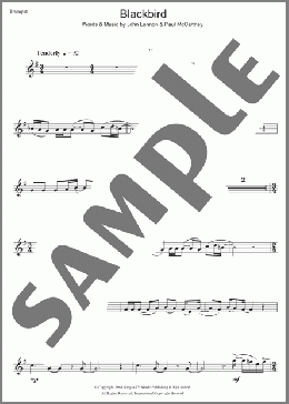 Blackbird(The Beatles) 楽譜 トランペット（ソロ） ダウンロード