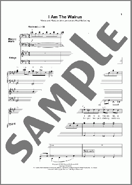 I Am The Walrus(The Beatles) 楽譜 その他 ダウンロード