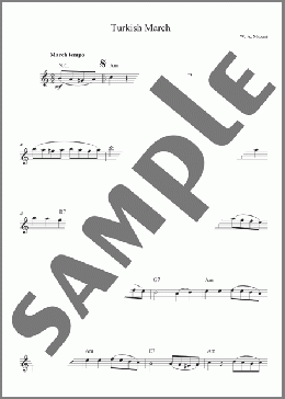 Turkish March(Wolfgang Amadeus Mozart) 楽譜 その他 ダウンロード