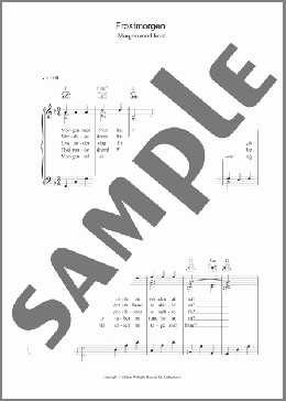 Frostmorgen(Benjamin Koppel) 楽譜 その他 ダウンロード