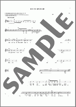 Ride The Wild Surf(Jan & Dean) 楽譜 その他 ダウンロード