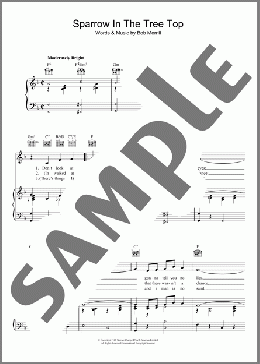 Sparrow In The Tree Top(Bob Merrill) 楽譜 その他 ダウンロード