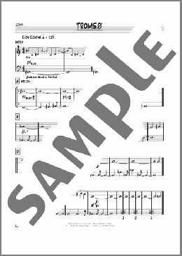 Tromso(Pat Metheny) 楽譜 その他 ダウンロード