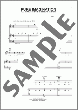 Pure Imagination(Marc Shaiman/Scott Wittman/Roald Dahl) 楽譜 ピアノ & ボーカル ダウンロード