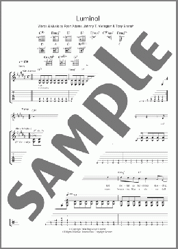 Luminol(Ryan Adams) 楽譜 ギター（ソロ） ダウンロード