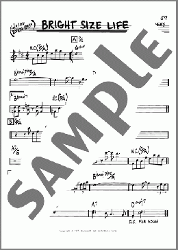 Bright Size Life(Pat Metheny) 楽譜 その他 ダウンロード