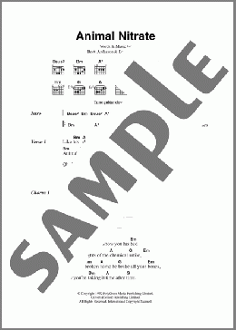 Animal Nitrate(Suede) 楽譜 ギター（コード） ダウンロード