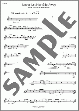 Never Let Her Slip Away(Andrew Gold) 楽譜 その他 ダウンロード