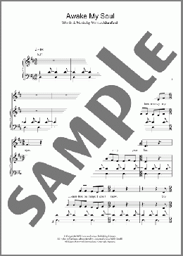 Awake My Soul(Mumford & Sons) 楽譜 その他 ダウンロード