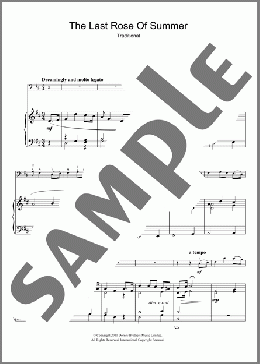 'Tis The Last Rose Of Summer(Thomas Moore) 楽譜 その他 ダウンロード