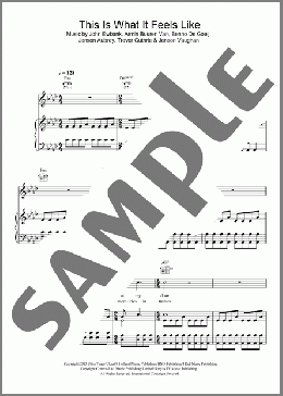 This Is What It Feels Like(Armin Van Buuren) 楽譜 その他 ダウンロード