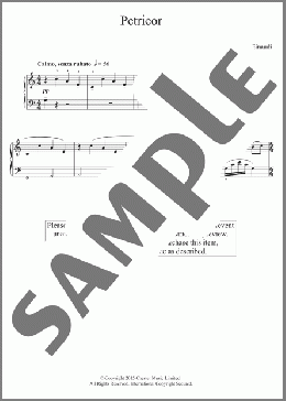 Petricor (abridged)(Ludovico Einaudi) 楽譜 ピアノ（ソロ） ダウンロード