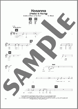 Hosanna (Praise Is Rising)(Paul Baloche/Travis Perry) 楽譜 その他 ダウンロード