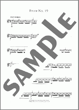 Etude No.19(Matteo Carcassi) 楽譜 メロディ ダウンロード