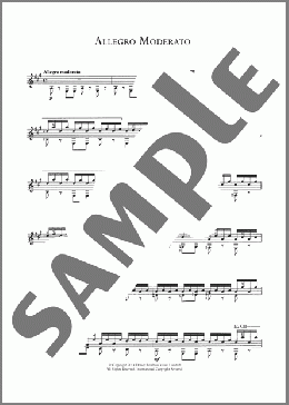 Allegro Moderato(Napoleon Coste) 楽譜 メロディ ダウンロード