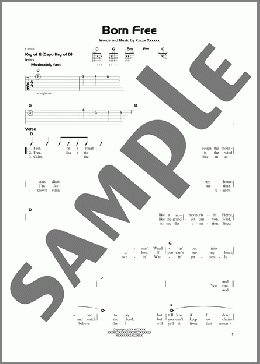 Born Free(Kid Rock) 楽譜 ギターリード ダウンロード