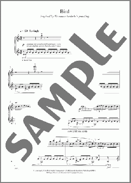 Bird(Steffen Wick) 楽譜 ピアノ（ソロ） ダウンロード