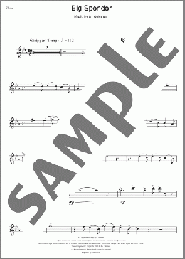 Big Spender (from Sweet Charity)(Shirley Bassey) 楽譜 フルート ダウンロード