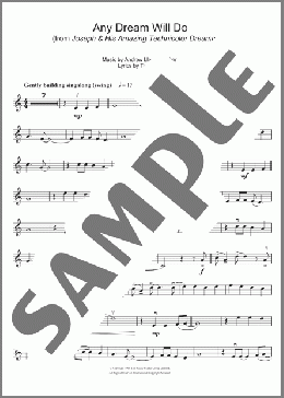 Any Dream Will Do (from Joseph And The Amazing Technicolor Dreamcoat)(Andrew Lloyd Webber) 楽譜 バイオリン ダウンロード