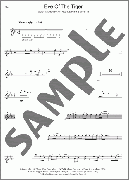 Eye Of The Tiger(Survivor) 楽譜 フルート ダウンロード