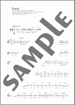 Brazil(The Ritchie Family) 楽譜 その他 ダウンロード