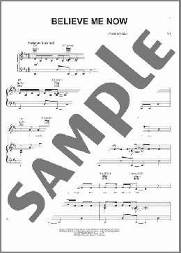 Believe Me Now(Steven Curtis Chapman) 楽譜 ピアノ & ボーカル & ギター ダウンロード