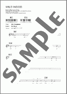 Wild Wood(Paul Weller) 楽譜 ピアノ（歌詞 & コード） ダウンロード