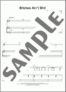 Bitches Ain't Shit(Ben Folds) 楽譜 その他 ダウンロード