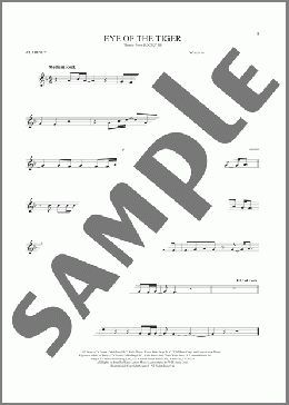 Eye Of The Tiger(Survivor) 楽譜 クラリネット ダウンロード