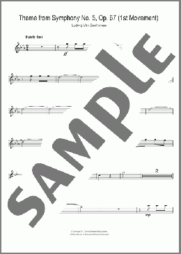 Theme from Symphony No. 5, Op. 67 (1st Movement)(Ludwig Van Beethoven) 楽譜 フルート ダウンロード