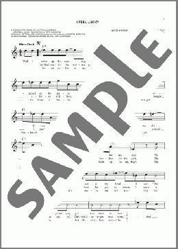 I Feel Lucky(Mary Chapin Carpenter) 楽譜 その他 ダウンロード
