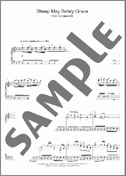 Sheep May Safely Graze (from Cantata 208)(Johann Sebastian Bach) 楽譜 ピアノ（ソロ） ダウンロード