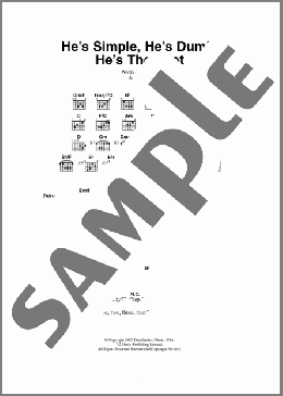 He's Simple, He's Dumb, He's The Pilot(Grandaddy) 楽譜 ギター（コード） ダウンロード