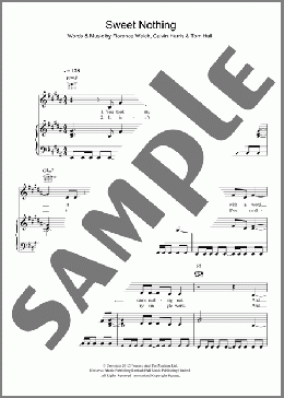 Sweet Nothing(Calvin Harris Featuring Florence Welch) 楽譜 その他 ダウンロード