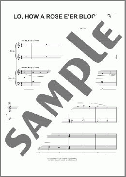Lo, How A Rose E'er Blooming (arr. Phillip Keveren)(Traditional) 楽譜 ピアノ（連弾） ダウンロード