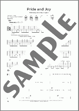 Pride And Joy(Stevie Ray Vaughan) 楽譜 ギターリード ダウンロード