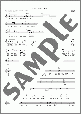 Precious Promise(Steven Curtis Chapman) 楽譜 その他 ダウンロード