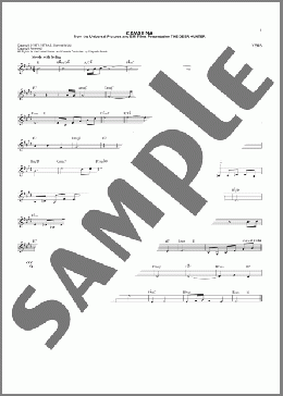 Cavatina (from The Deer Hunter)(Stanley Myers) 楽譜 その他 ダウンロード