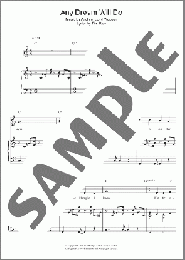 Any Dream Will Do (from Joseph And The Amazing Technicolor Dreamcoat)(Andrew Lloyd Webber) 楽譜 その他 ダウンロード