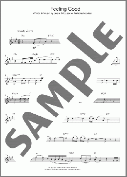 Feeling Good(Nina Simone) 楽譜 アルトサックス（ソロ） ダウンロード