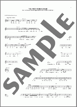 You Are The Music In Me (from High School Musical 2)(Zac Efron & Vanessa Hudgens) 楽譜 その他 ダウンロード
