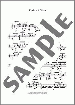 Etude In A Minor(Napoleon Coste) 楽譜 メロディ ダウンロード