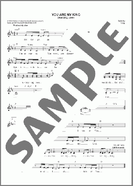 You Are My King (Amazing Love)(Passion/Newsboys) 楽譜 その他 ダウンロード