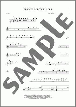 Friends In Low Places(Garth Brooks) 楽譜 フルート ダウンロード