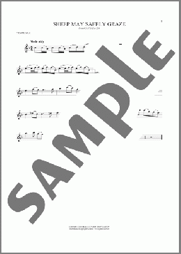 Sheep May Safely Graze(Johann Sebastian Bach) 楽譜 テナーサックス（ソロ） ダウンロード